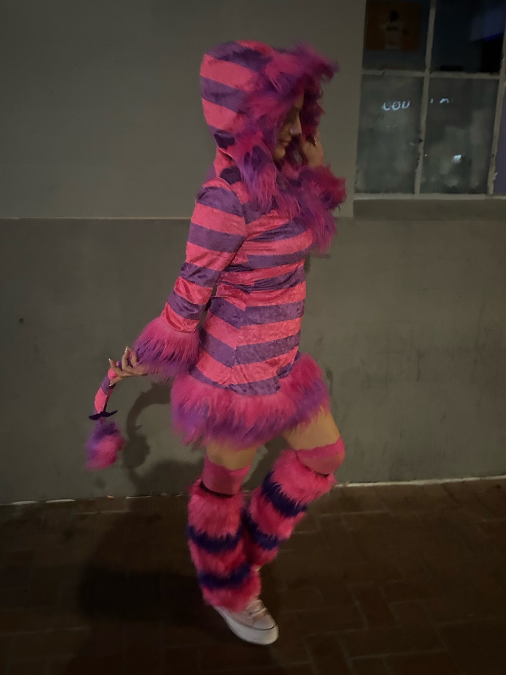 Full Cheshire Cat Costume